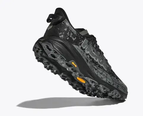 Speedgoat 6 GTX Herre BCKT/Black/Outer Orbit