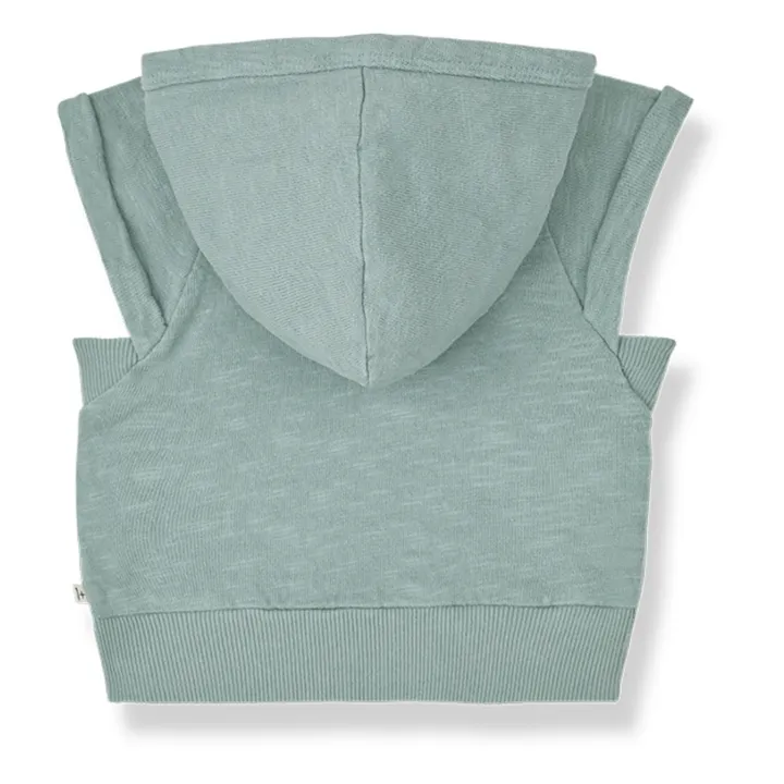1+ in the family Sweat Sans Manches Peppo | Bleu Vert