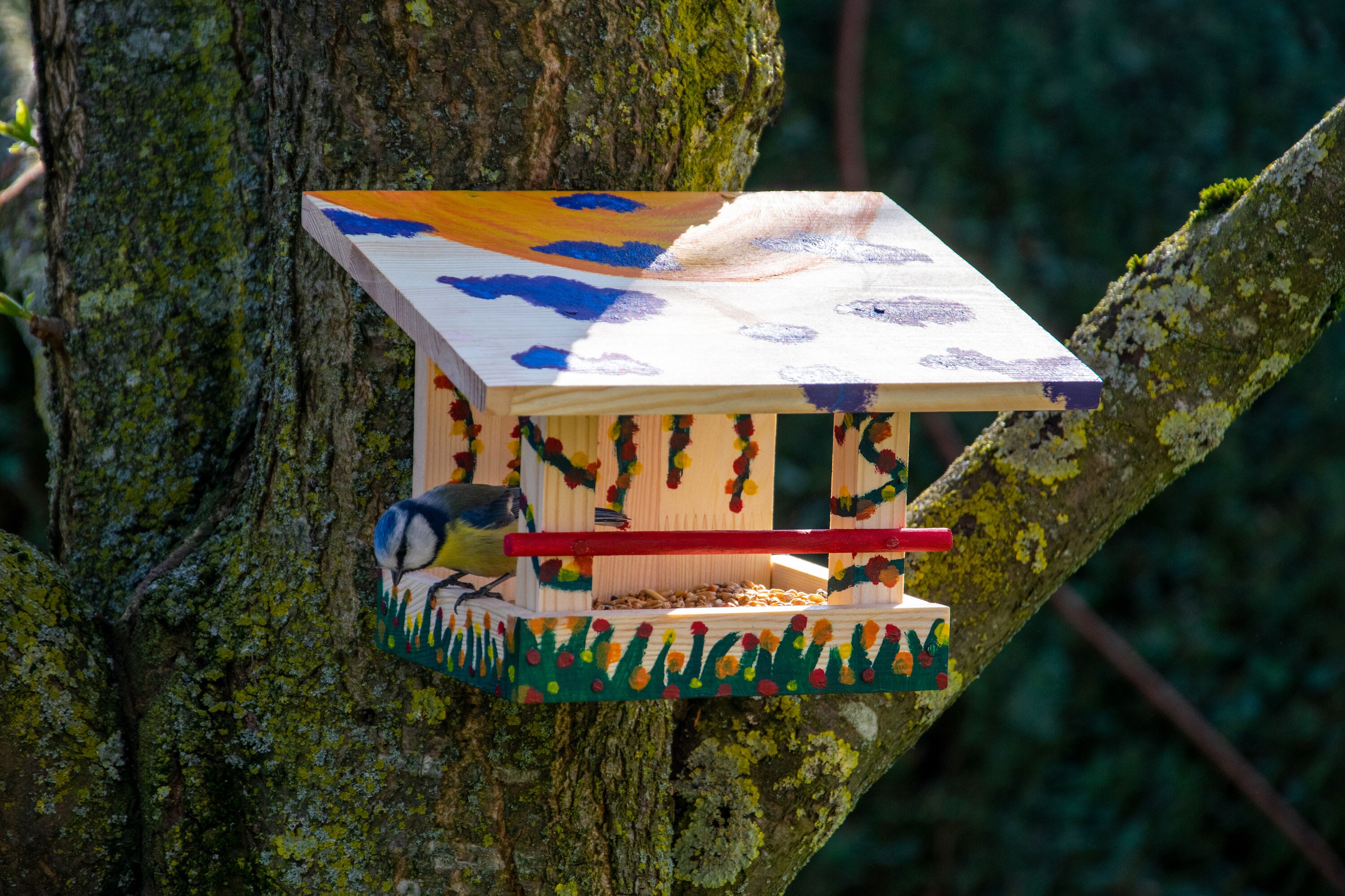 dobar Vogelhaus - Bausatz - versch. Ausführungen