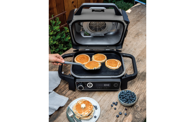 Ninja Woodfire Plancha Grillplatte