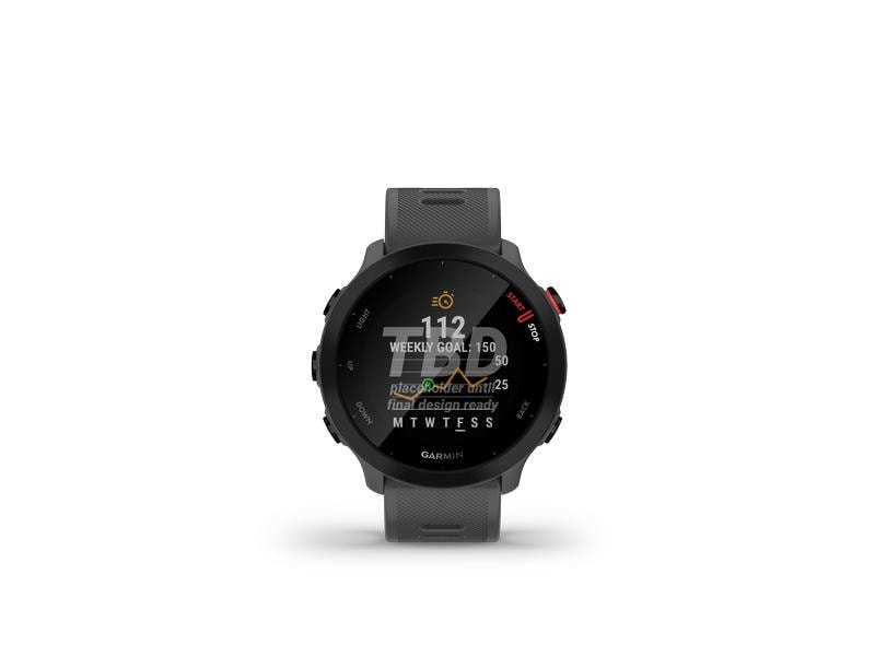 GARMIN Sportuhr Forerunner 55 Grau/Schwarz GPS-Laufuhr