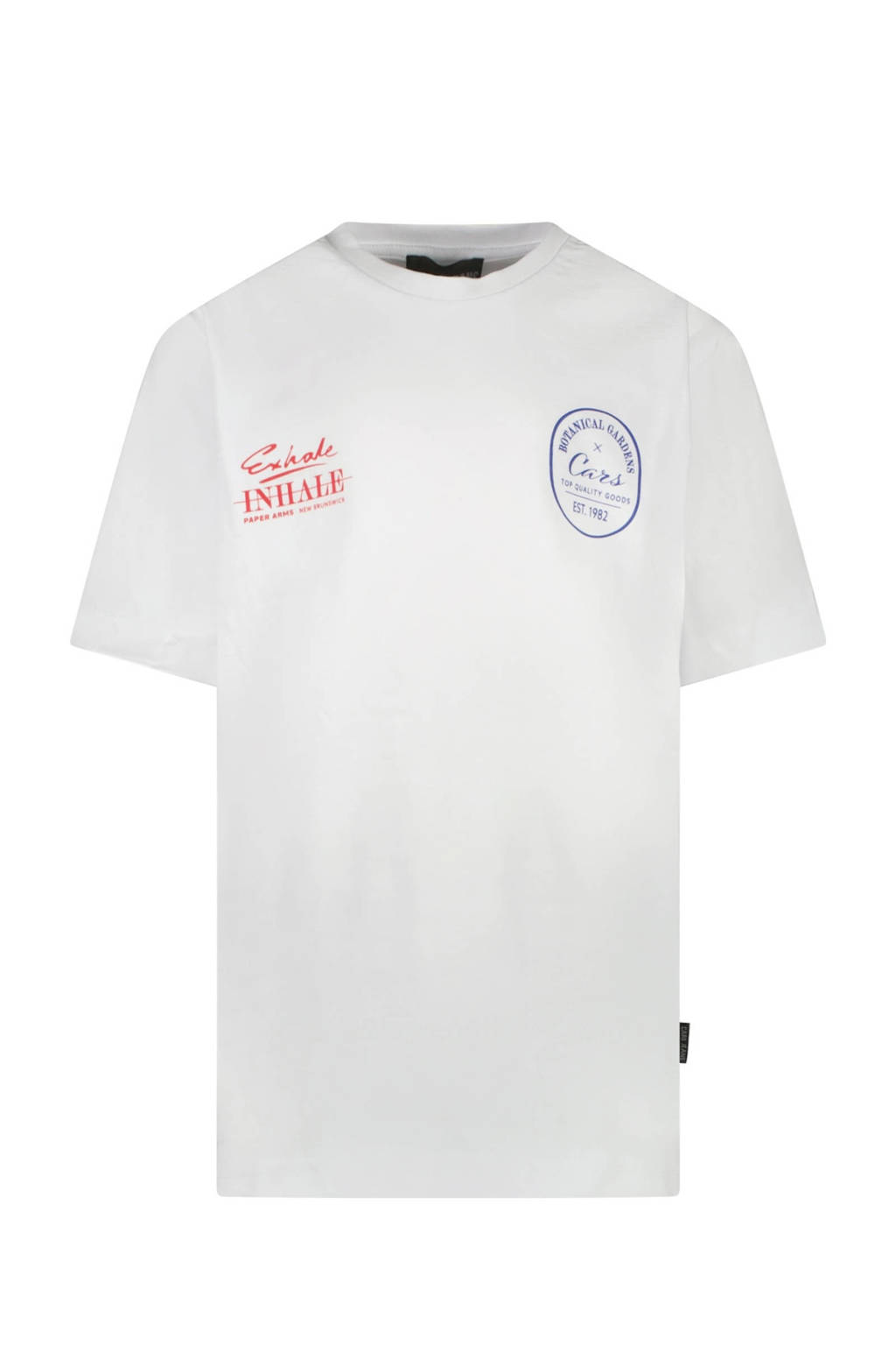 Cars T-shirt COLYN met backprint zachtblauw