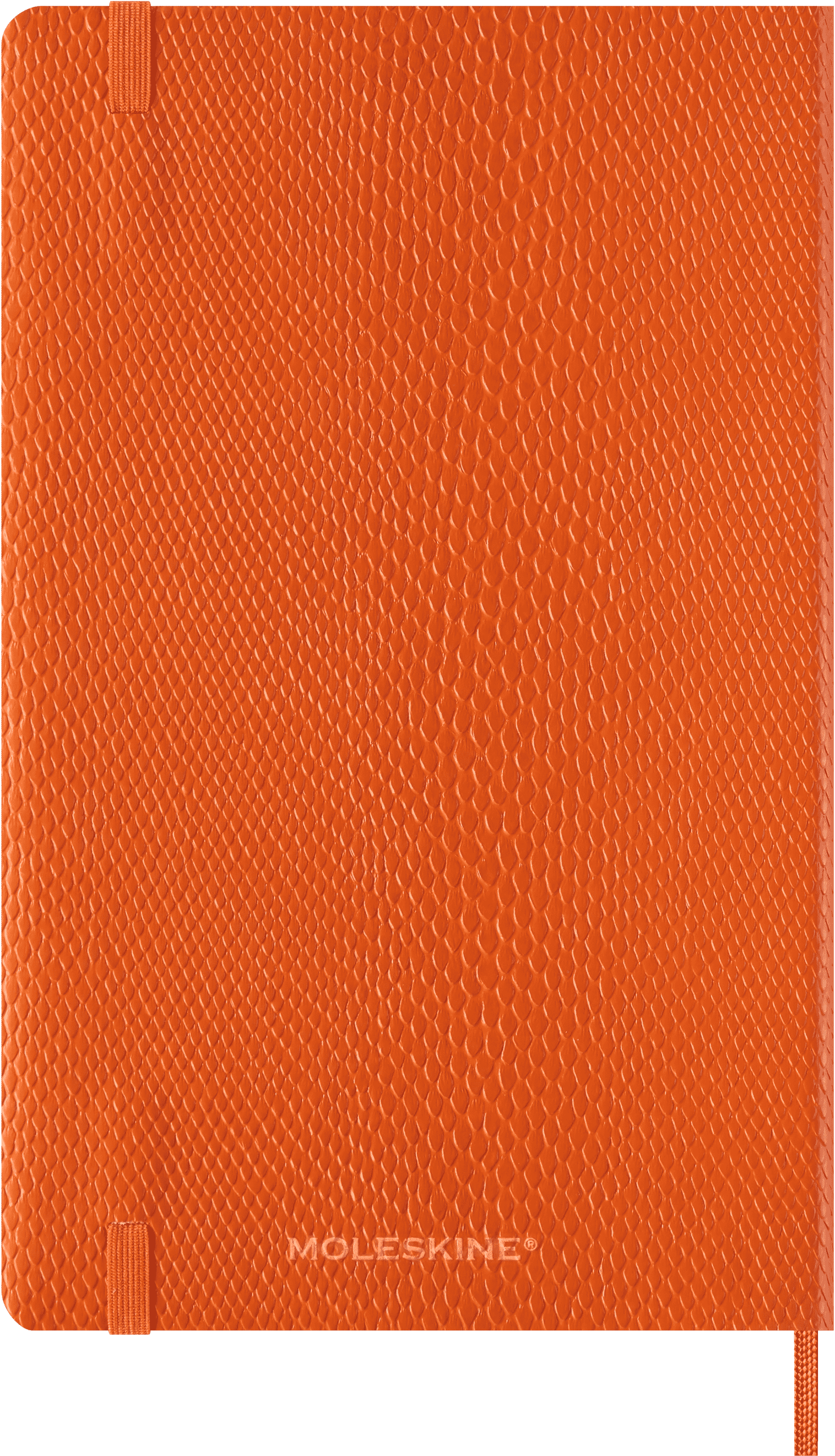 Precious & Ethical Planner 2025 Weekly, 12-Month, Vegan Cover