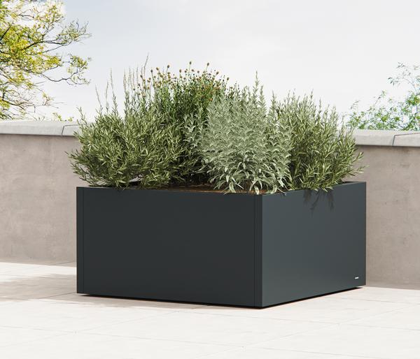 Herstera Metall-Pflanzkasten Cube Low LED,