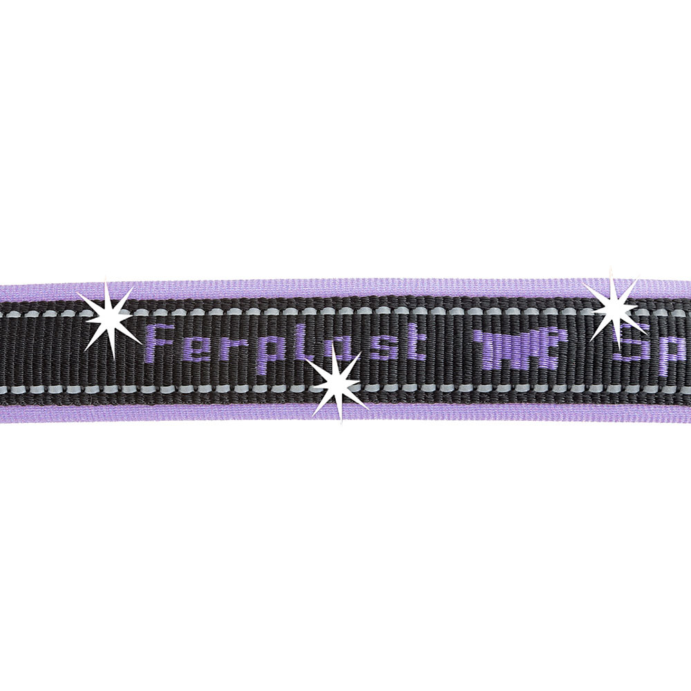 Ferplast collier pour chiens sport dog c25/65, poignée rembourée, ceinture réfléchissante, étiquette porte-nom, a: 55÷65 cm - b: