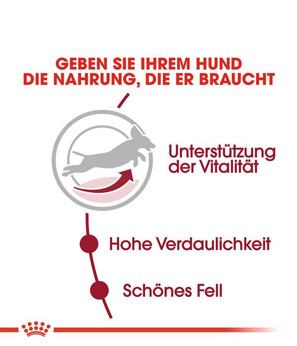 ROYAL CANIN® Trockenfutter für Hunde Medium