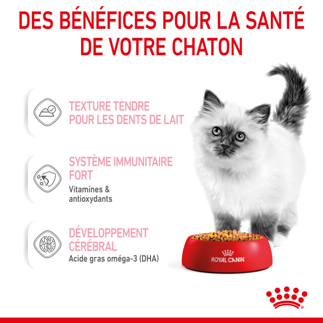 Bouchées Royal Canin Kitten pour chaton de 4 à 12 mois