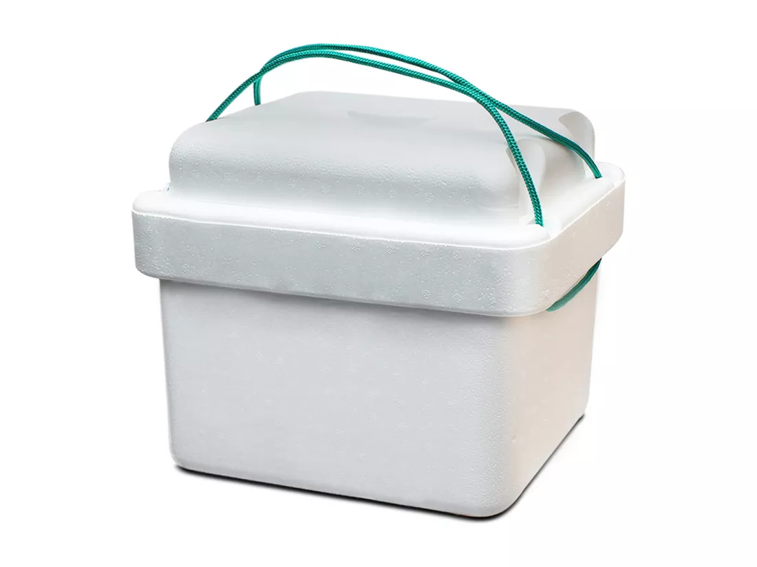Glacière, réfrigérateur, refroidisseur en polystyrène coloris blanc, capacité 11 L - Longueur 35 x Profondeur 22.5 x Hauteur 27 cm