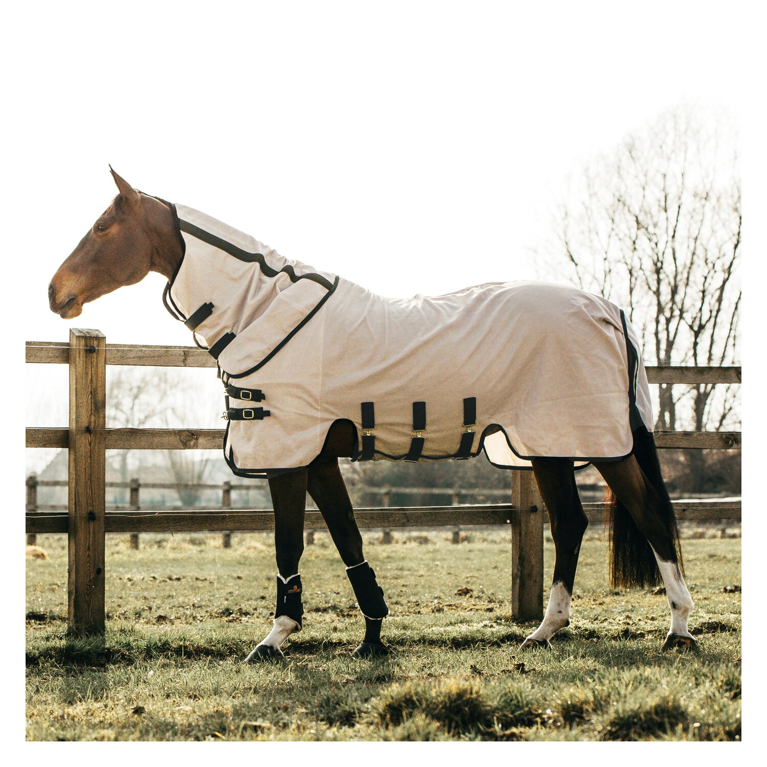 KENTUCKY Fliegendecke  - beige