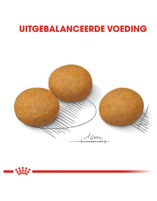 Royal Canin Dermacomfort Maxi - Hondenvoer - 12 kg
