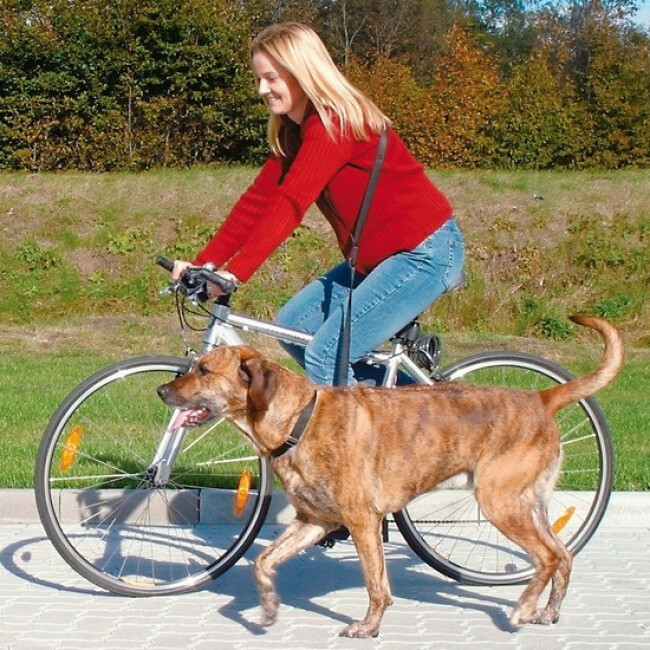 Laisse speciale vélo et jogging pour chien