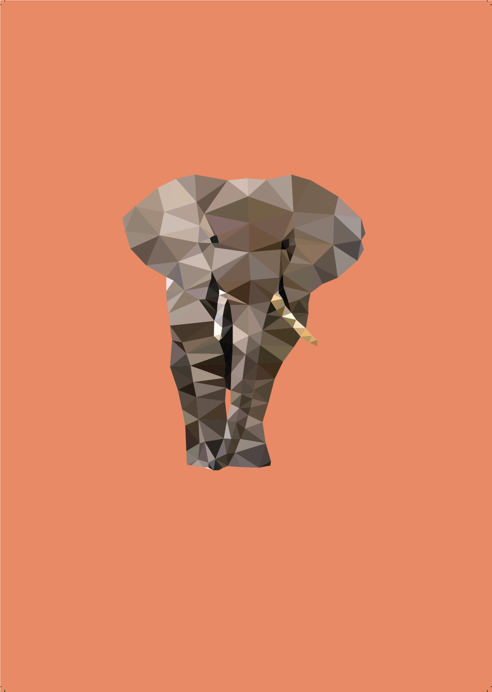 Poster Olifant 40 x 50 cm