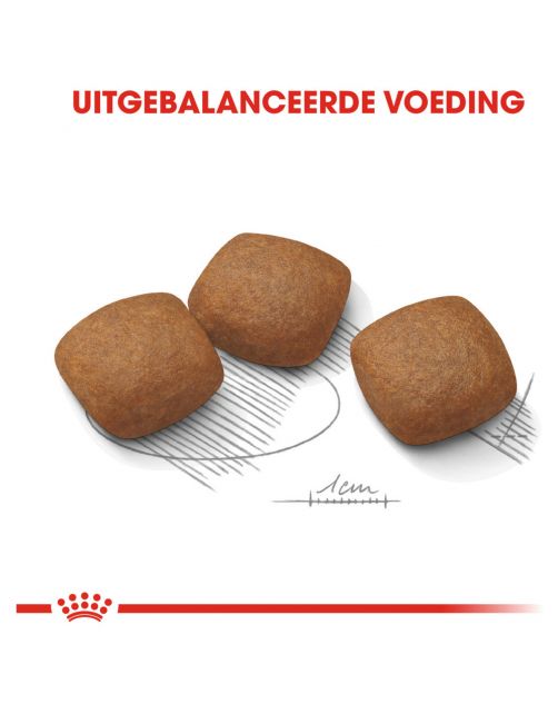 Royal Canin Joint Care Maxi - Hondenvoer - 10 kg