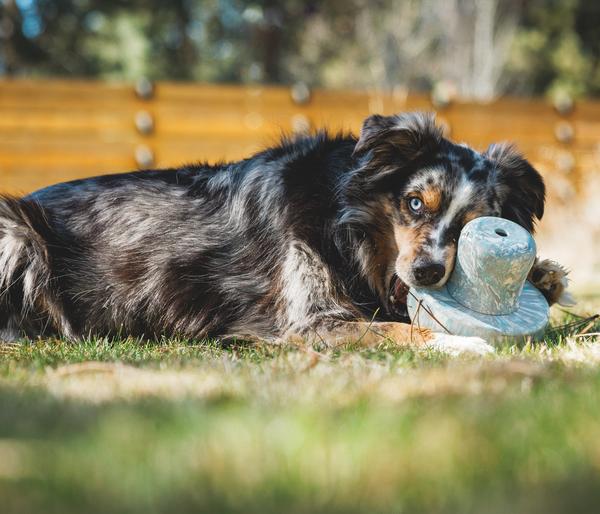 RUFFWEAR® Hundespielzeug Porchini™