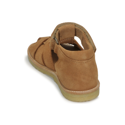 Bisgaard - AMI - Camel