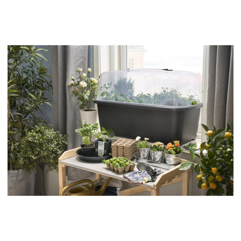 Drivhus 52 l 77x82x39 cm