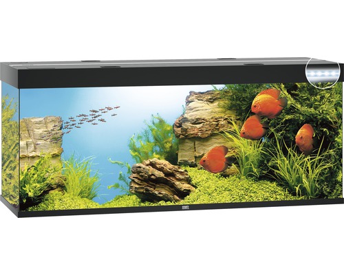 JUWEL Rio 450 aquarium met LED-verlichting, pomp, filter, verwarming (zonder kast), zwart