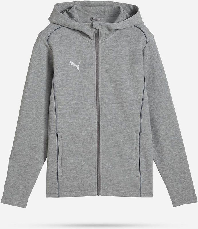 Puma - TeamFINAL Casuals - Hooded Jacket - Grijs