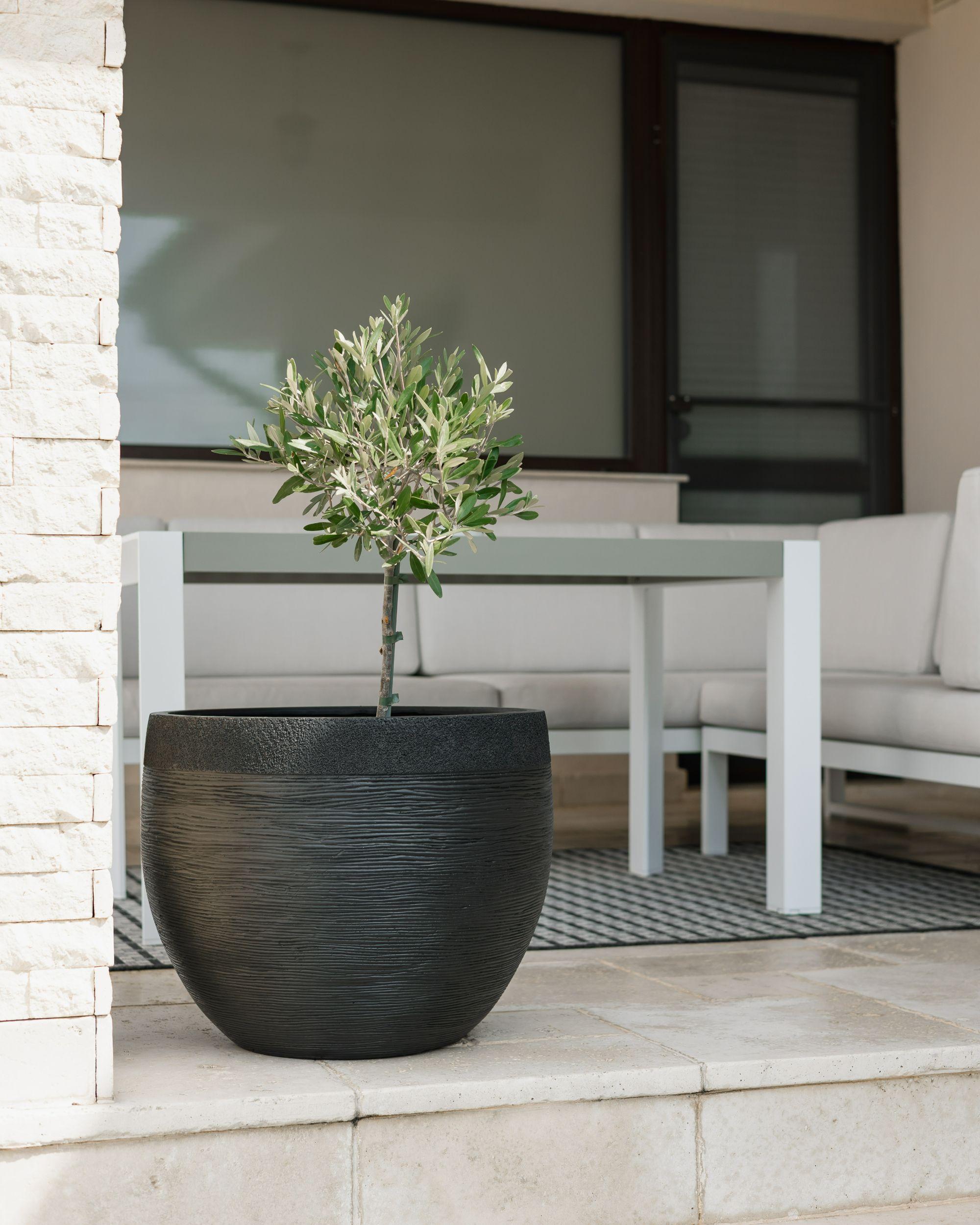 Bloempot ZAKROS 50 cm Zwart