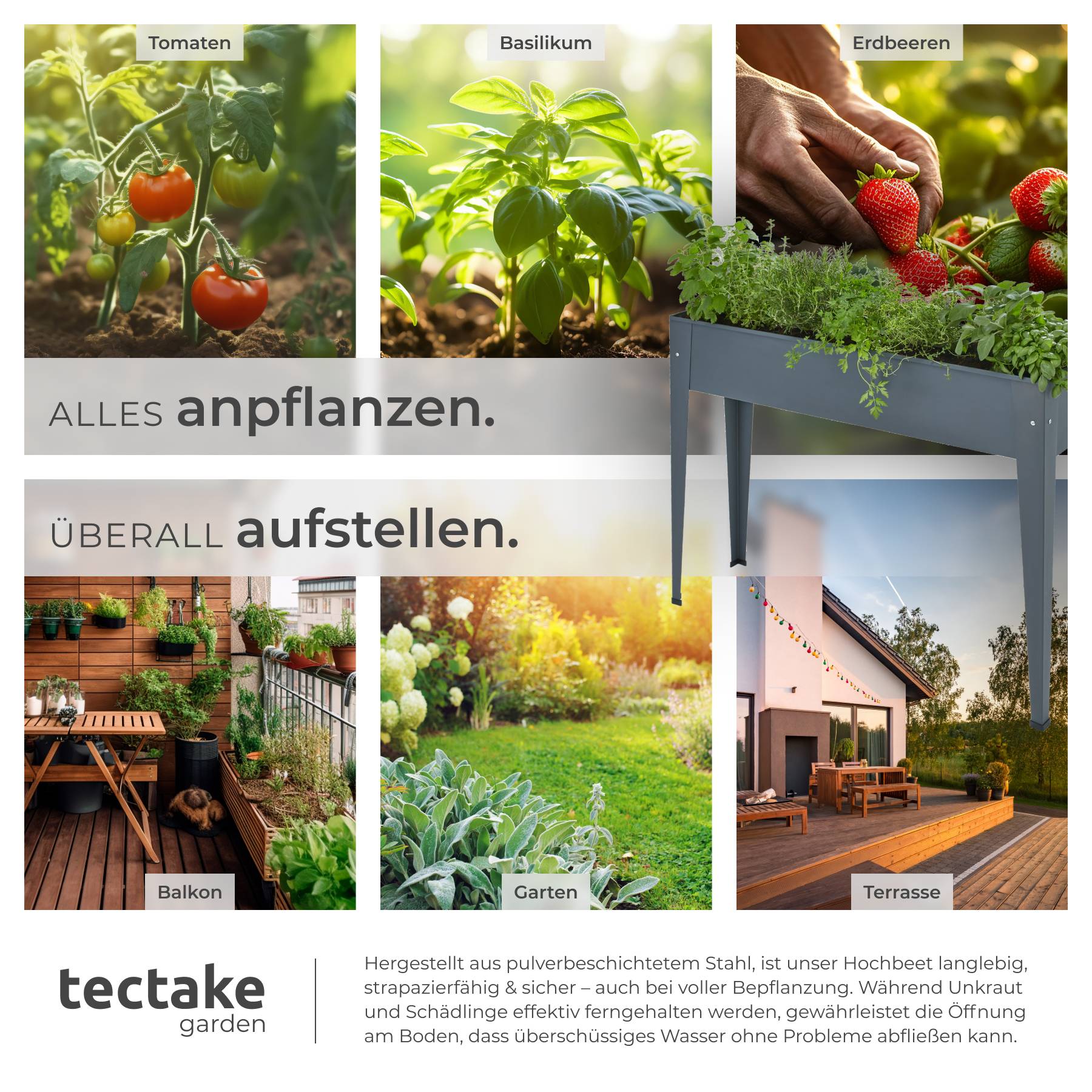 Hochbeet Calendula