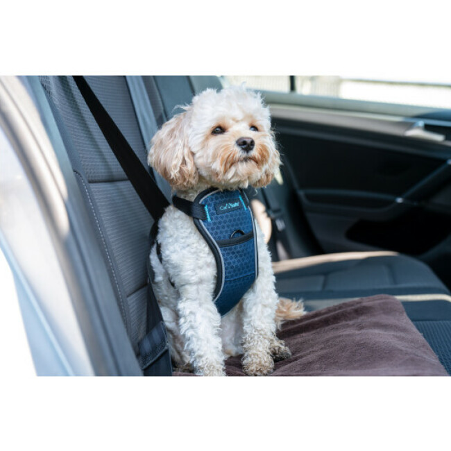 Harnais Crash Tested transport en voiture CarSafe pour chien