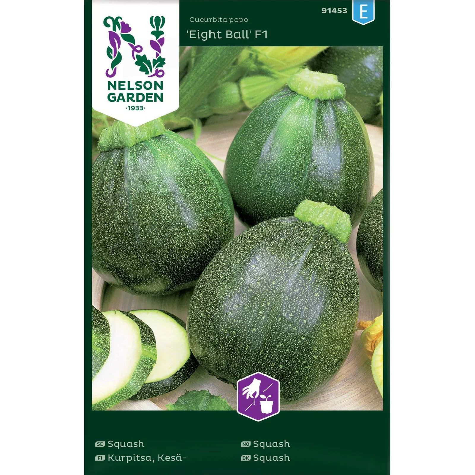 Cucurbita pepo 'Eight Ball' Squash 'Eight Ball' F1
