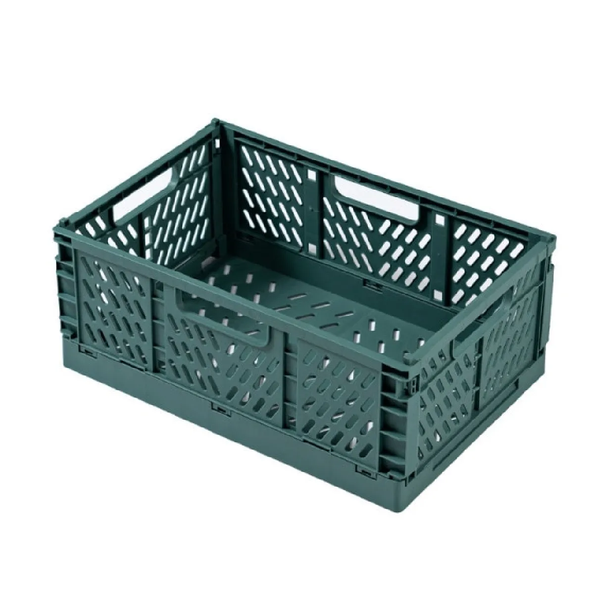 Universal Boîte de rangement en plastique - Vert foncé