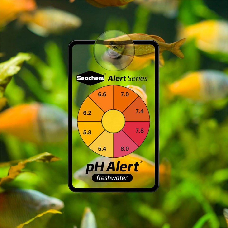 SEACHEM - Ph Alert 6 Month - (159.0010)