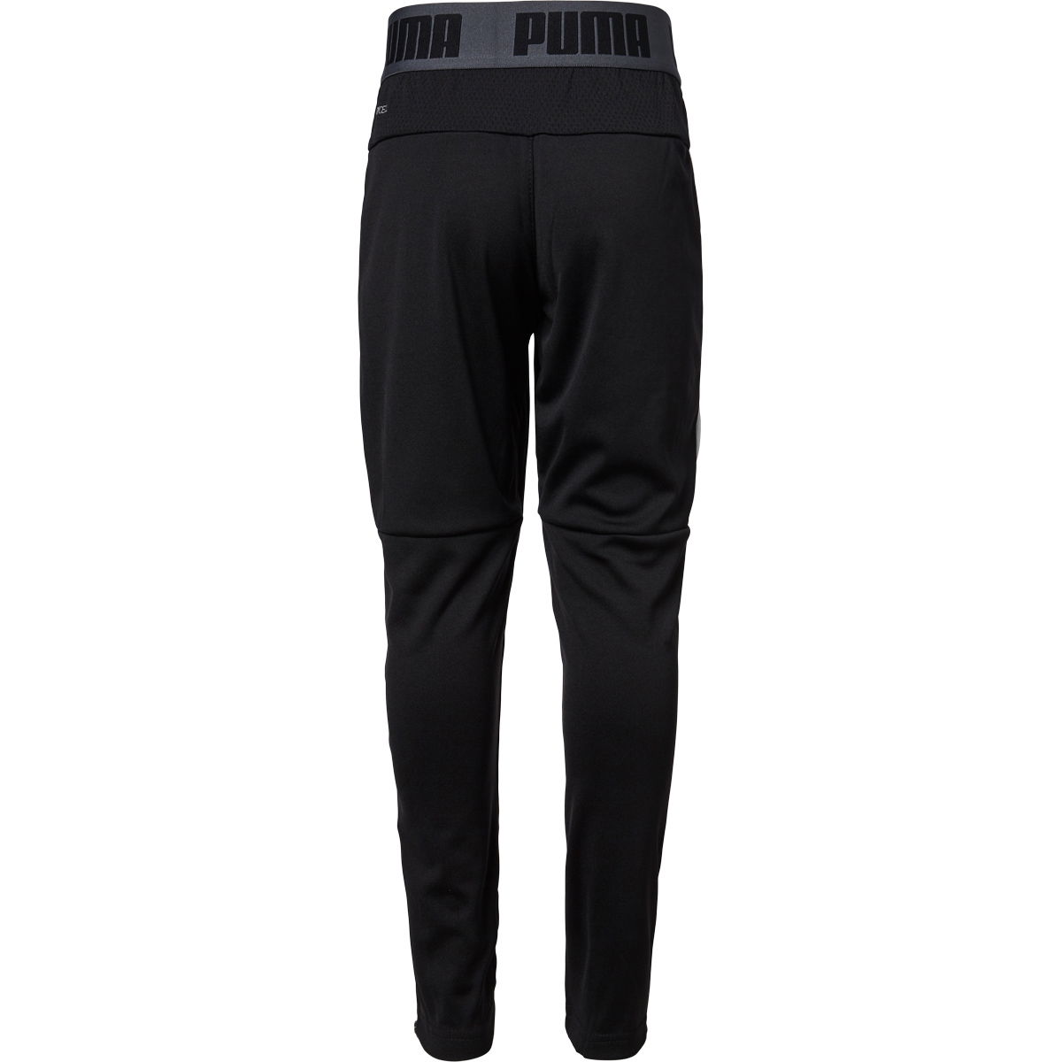 Puma Speed Træningsbukser Børn