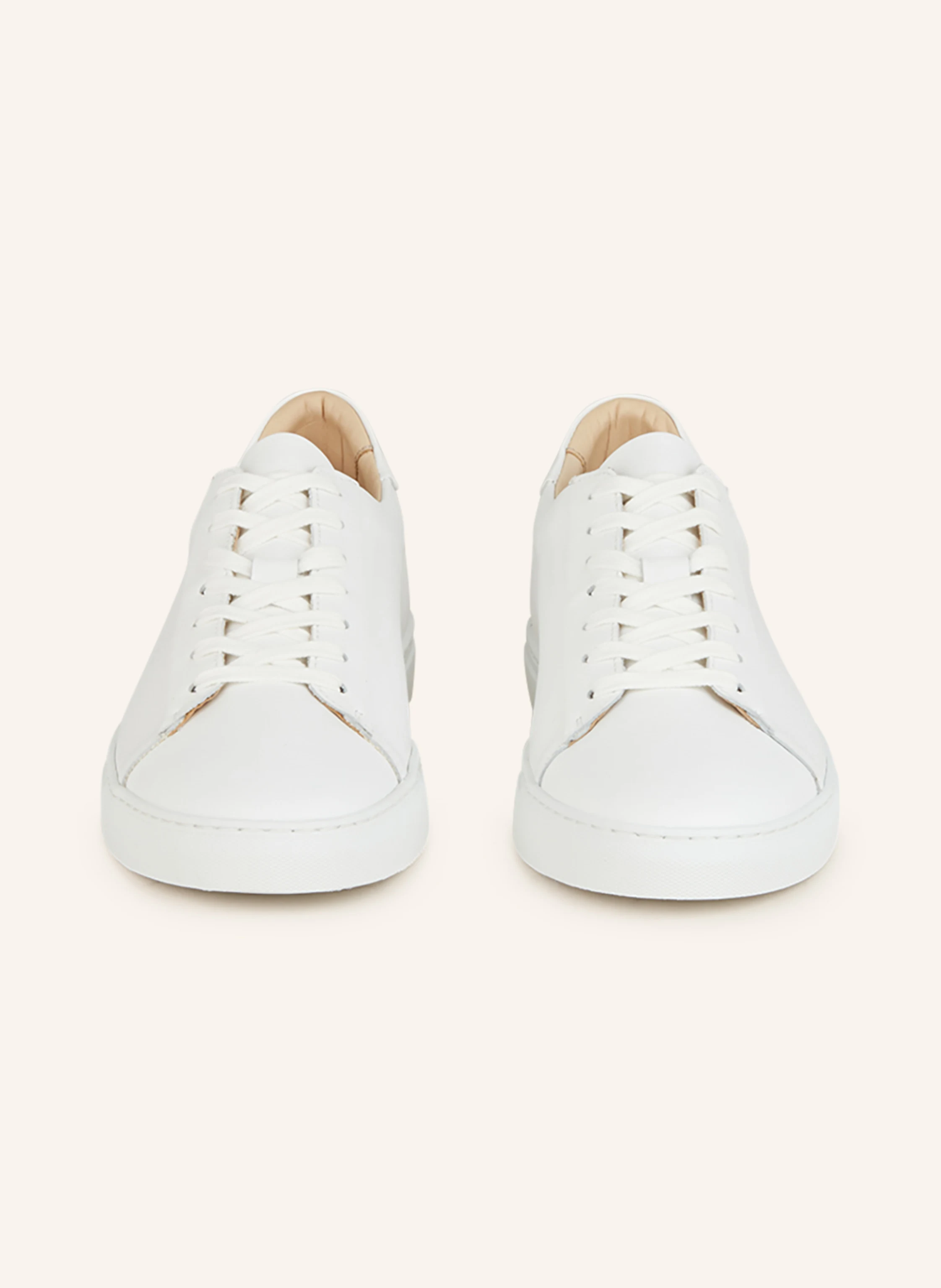 PAUL Sneaker