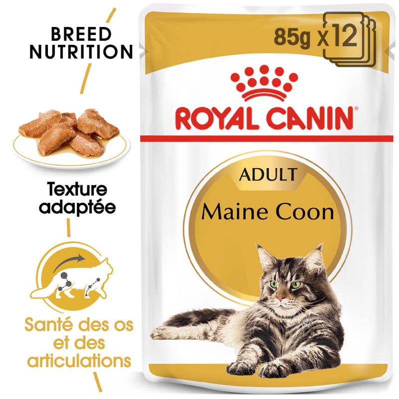 Royal Canin Maine Coon Adult en sauce