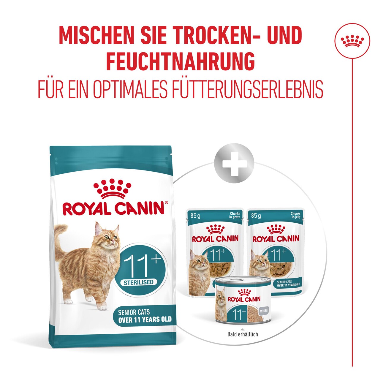 ROYAL CANIN Trockenfutter Katze, Senior, Ageing Sterilised 11+ 400 g