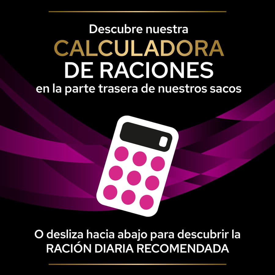 Pro Plan Veterinary Diets Feline UR Salmão x 85 g