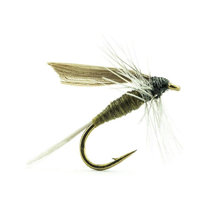 Mouche Devaux Ephemere Ornans 02