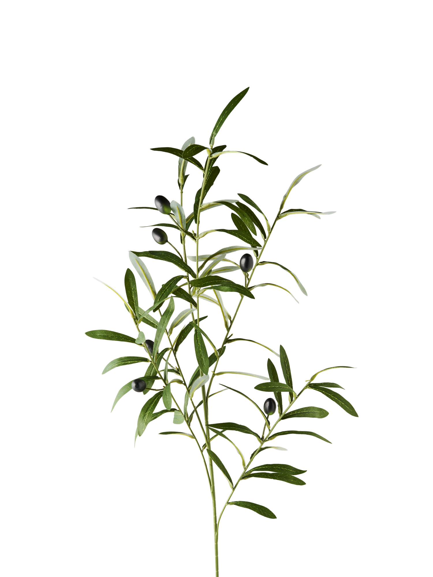 Kunstig olivengren | 91 cm.  | Green