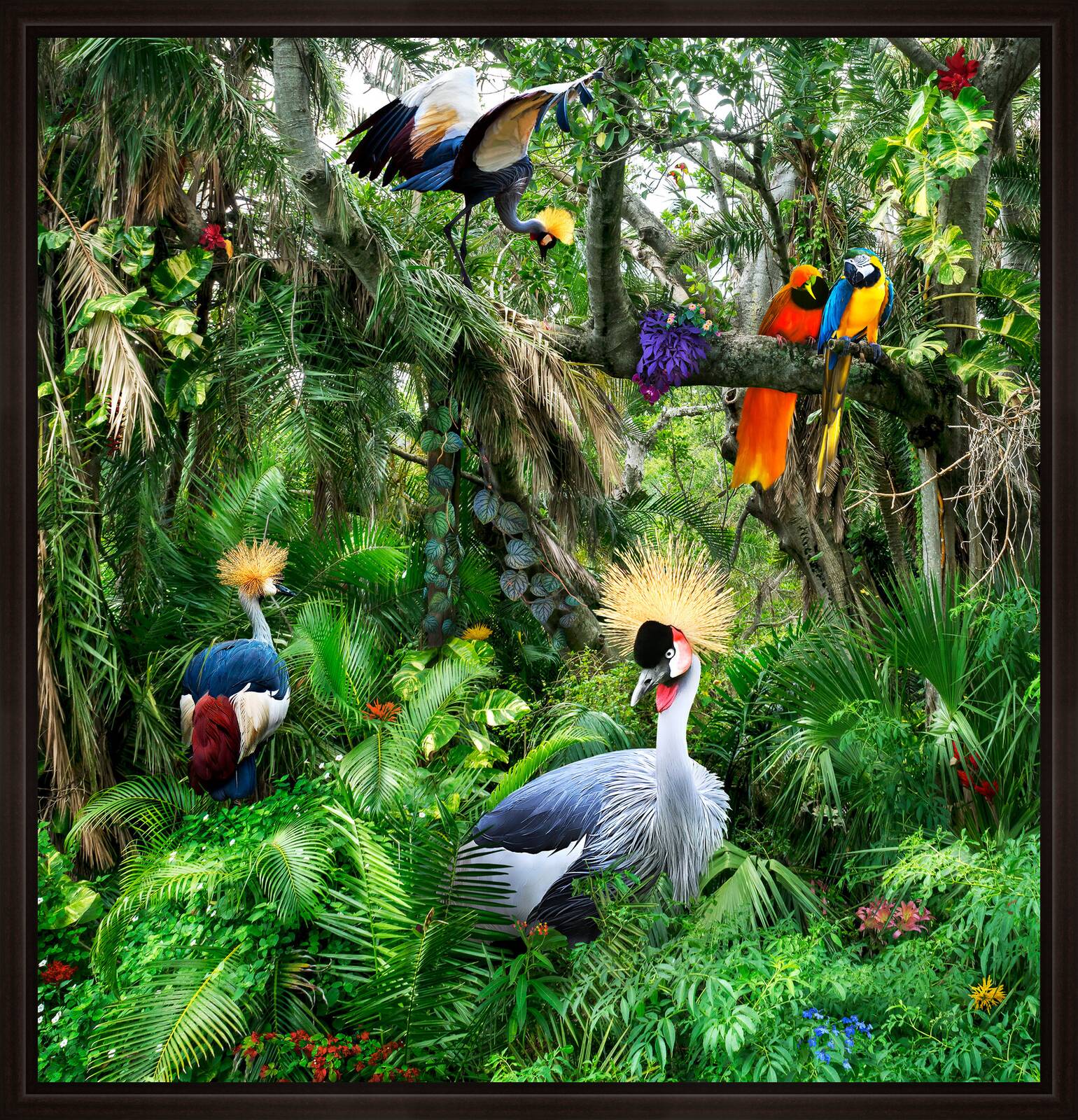 Crown Cranes Explore New Terrain by Pat Swain - Limited Edition. Edition of: 150. Signed.