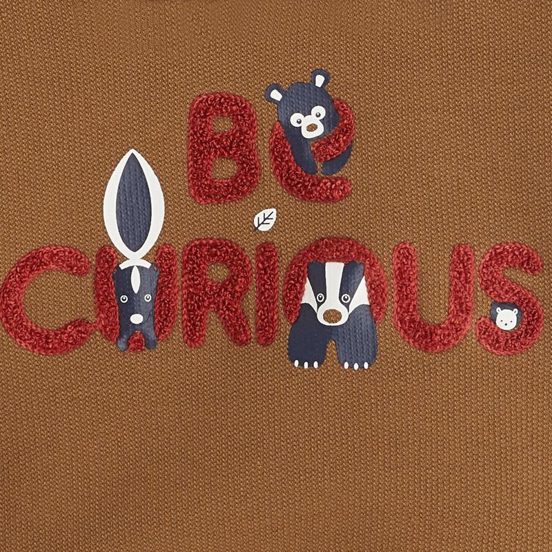 Sweat à capuche raton laveur marron bébé garçon Marron