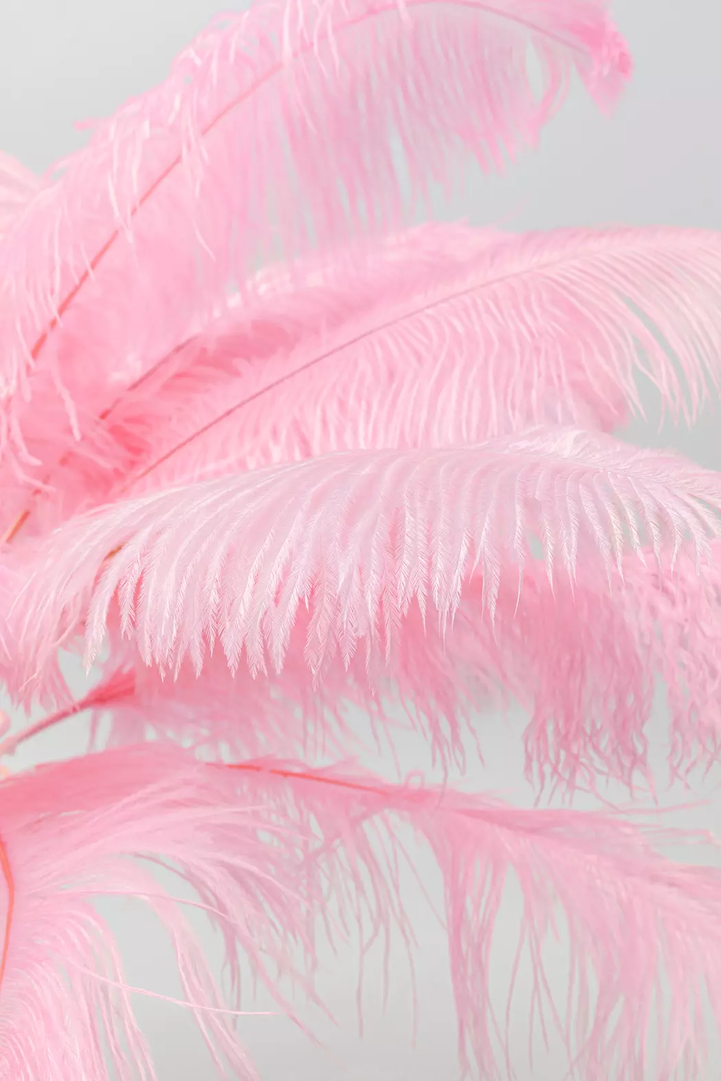 Stehlampe Feather Palm