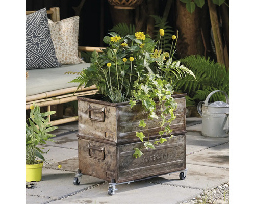 Wagner Sun City plantenwagen, staal, Ø 23 cm, draagvermogen 100 kg, grijs