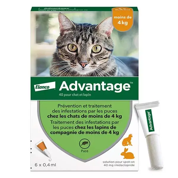 Advantage Solution - Tratamento antipulgas para gatos e coelhos (1-4kg) - 6 pipetas