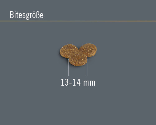 FINEVO Senior Dog Droogvoer Kip 3 kg