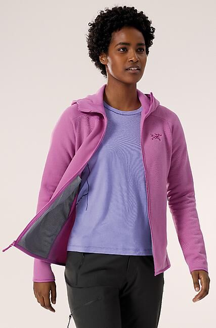 ARCTERYX - POLAIRE KYANITE HOODY