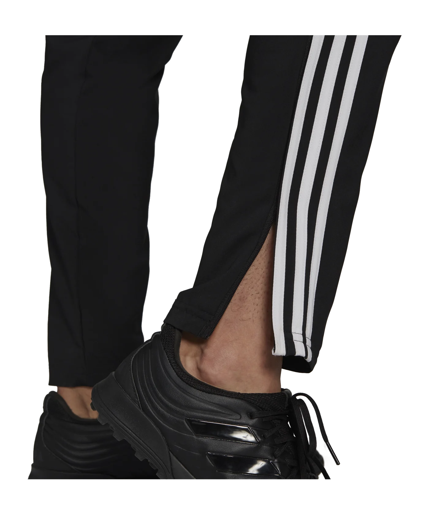 adidas Condivo 22 Präsentationshose Schwarz Weiss