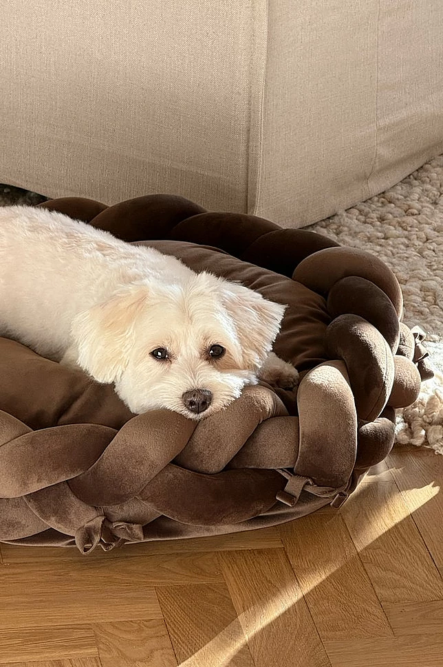 BRADY hunde-/katteseng