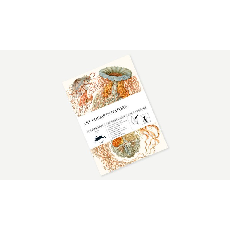 Pepin Geschenk- und Kreativpapier-Buch