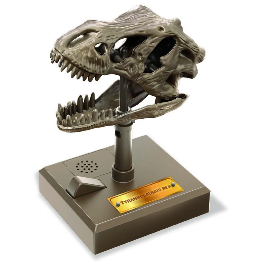 Køb 4M Kidzrobotix / Roaring T-Rex Skull