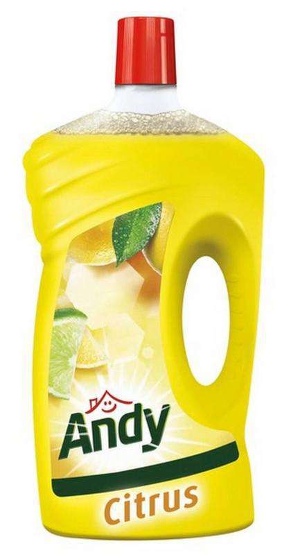Andy Allesreiniger Citroen 1000 ML