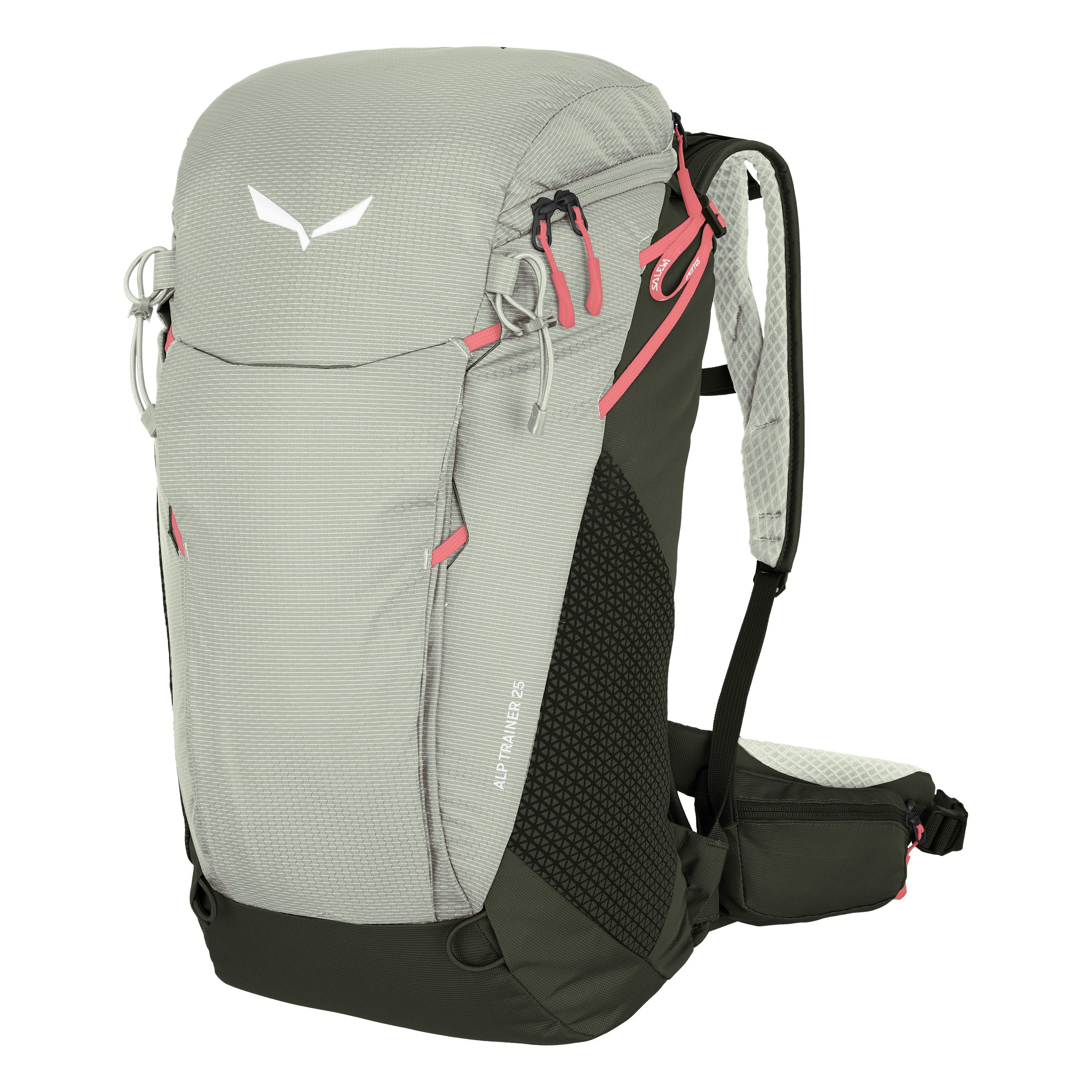 Alp Trainer 25L Rucksack