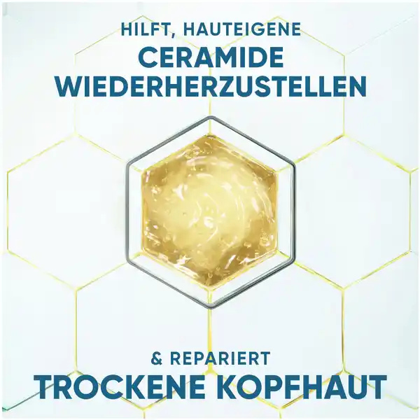 DERMAXPRO Hydra Pflege Anti-Schuppen Shampoo