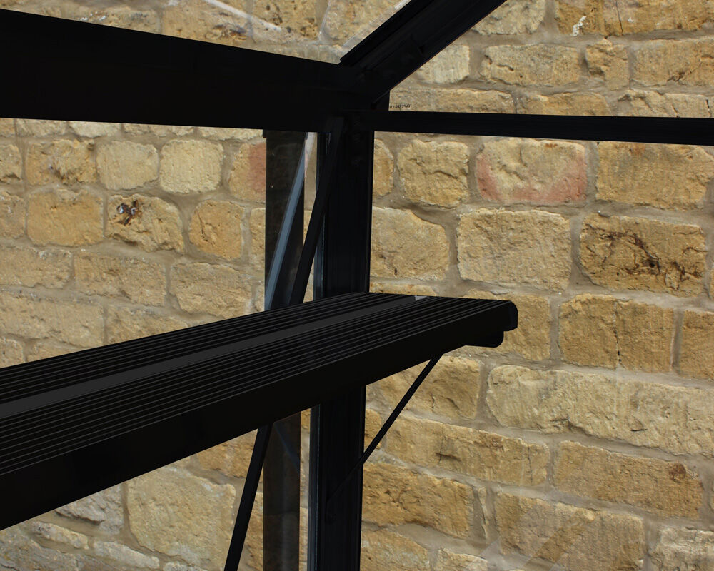 EDEN Birdlip 48 en Burford 68 - Kweekschap
